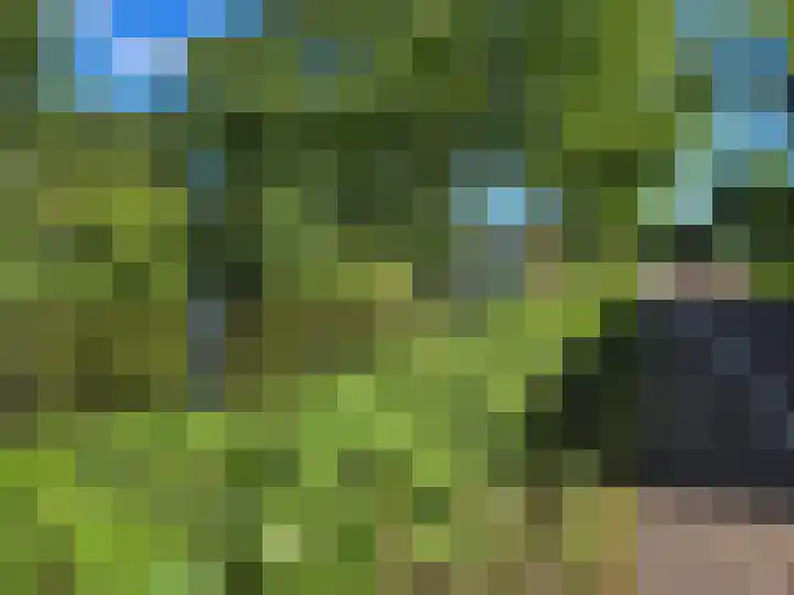 Machiel van Marlepad 2 Zaandam thumbnail 33