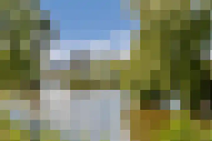 Machiel van Marlepad 2 Zaandam thumbnail 4