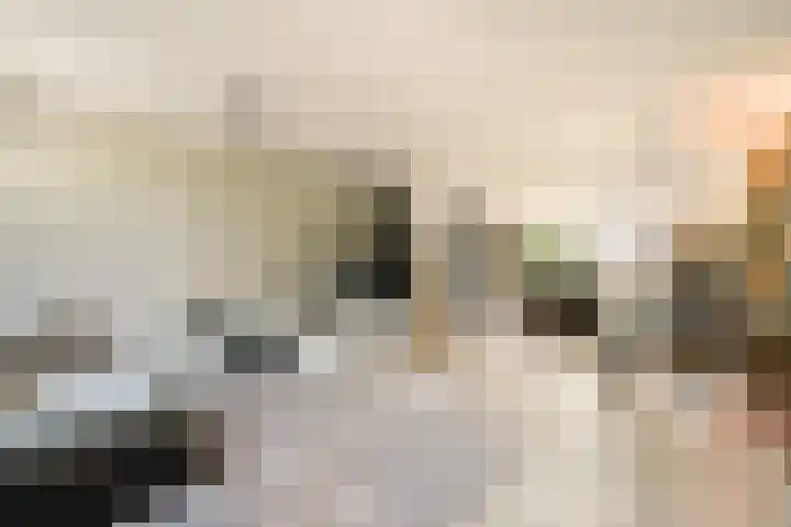 Machiel van Marlepad 2 Zaandam thumbnail 5
