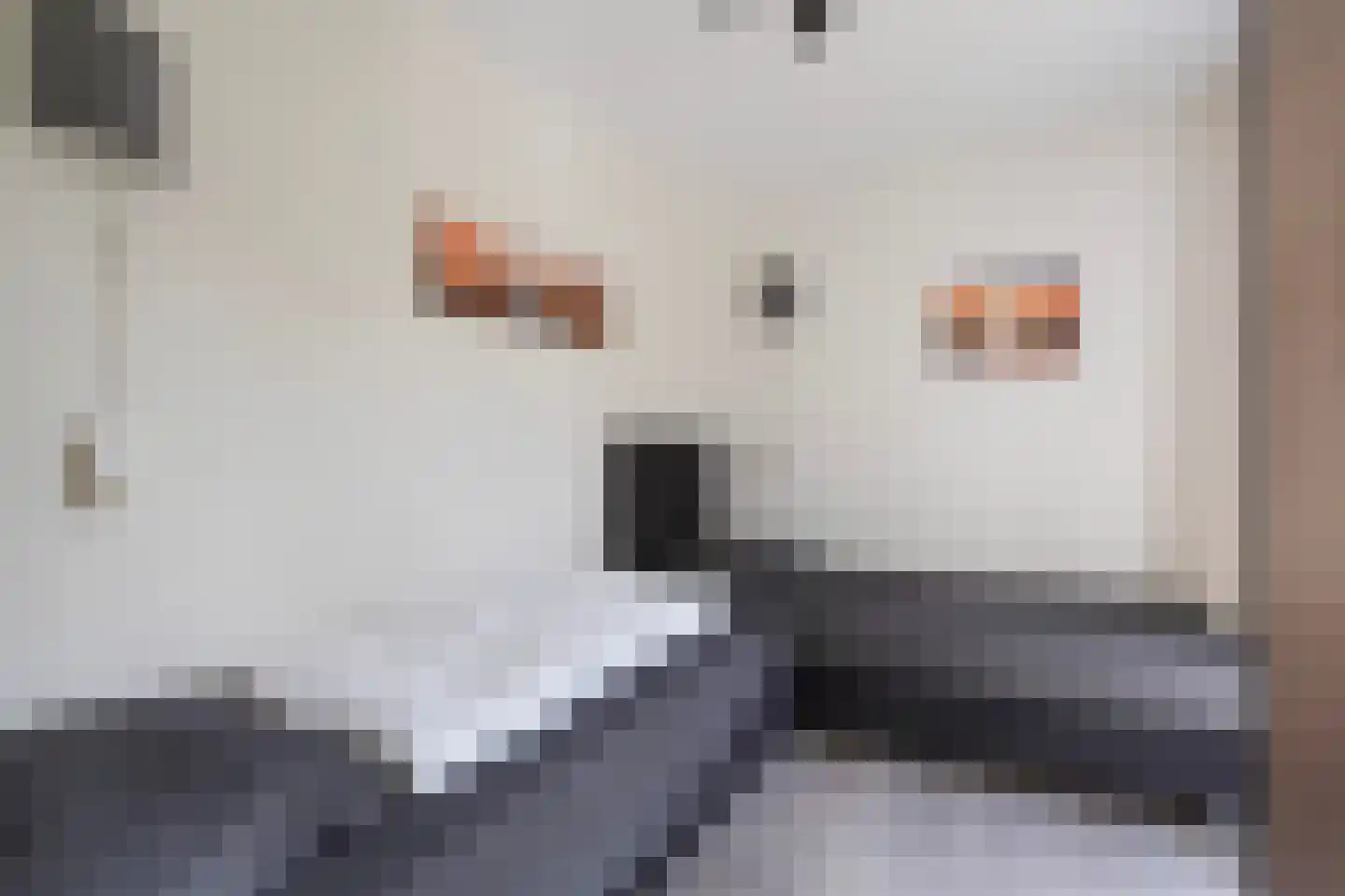Machiel Vrijenhoeklaan 450 132 Den Haag thumbnail 11