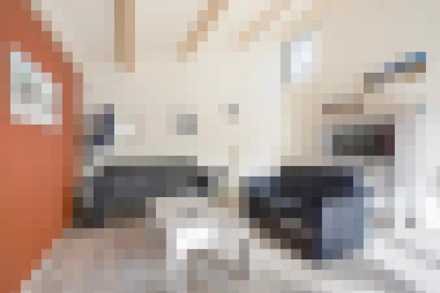 Machiel Vrijenhoeklaan 450 132 Den Haag thumbnail 6
