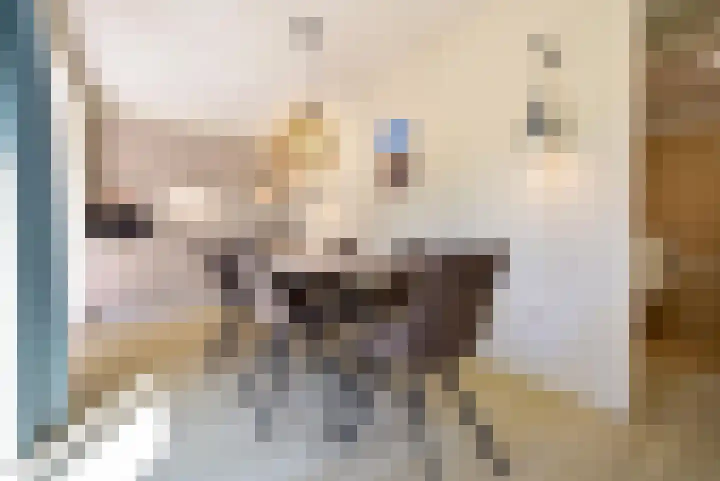 Machiel Vrijenhoeklaan 450 141 Den Haag thumbnail 13
