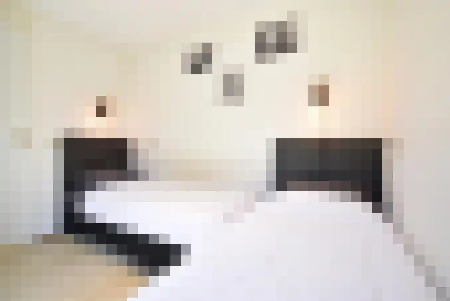 Machiel Vrijenhoeklaan 450 141 Den Haag thumbnail 23