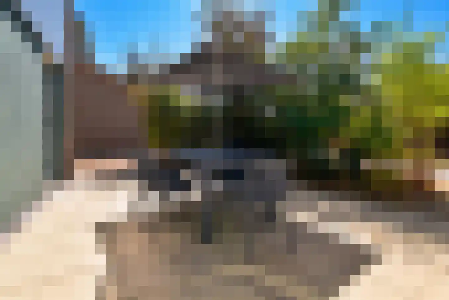 Machiel Vrijenhoeklaan 450 141 Den Haag thumbnail 4