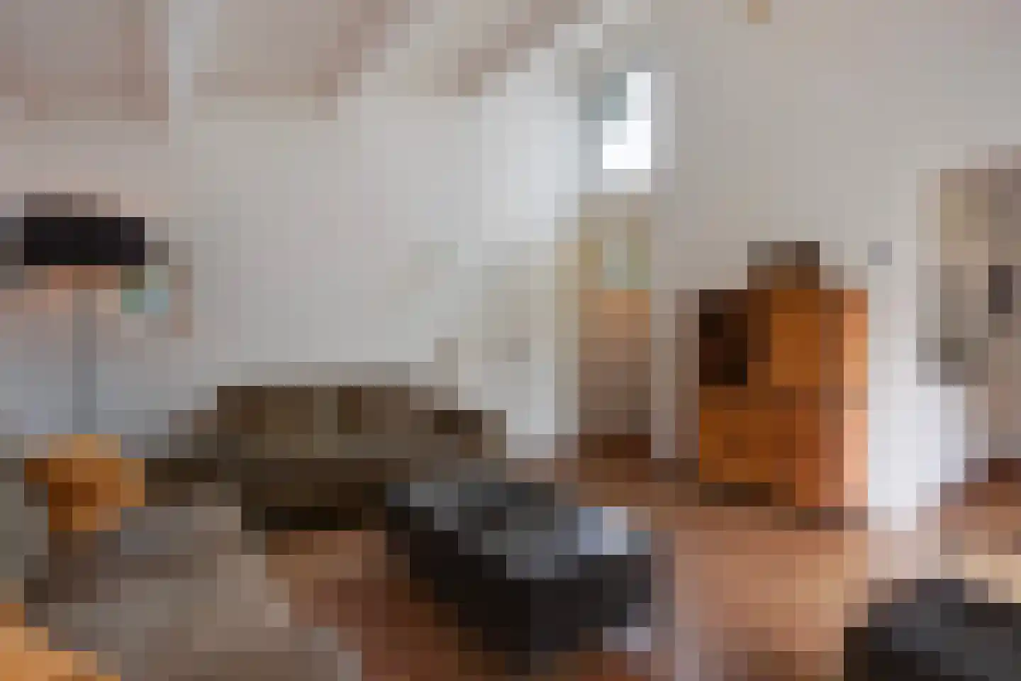 Machiel Vrijenhoeklaan 450 178 Den Haag thumbnail 10