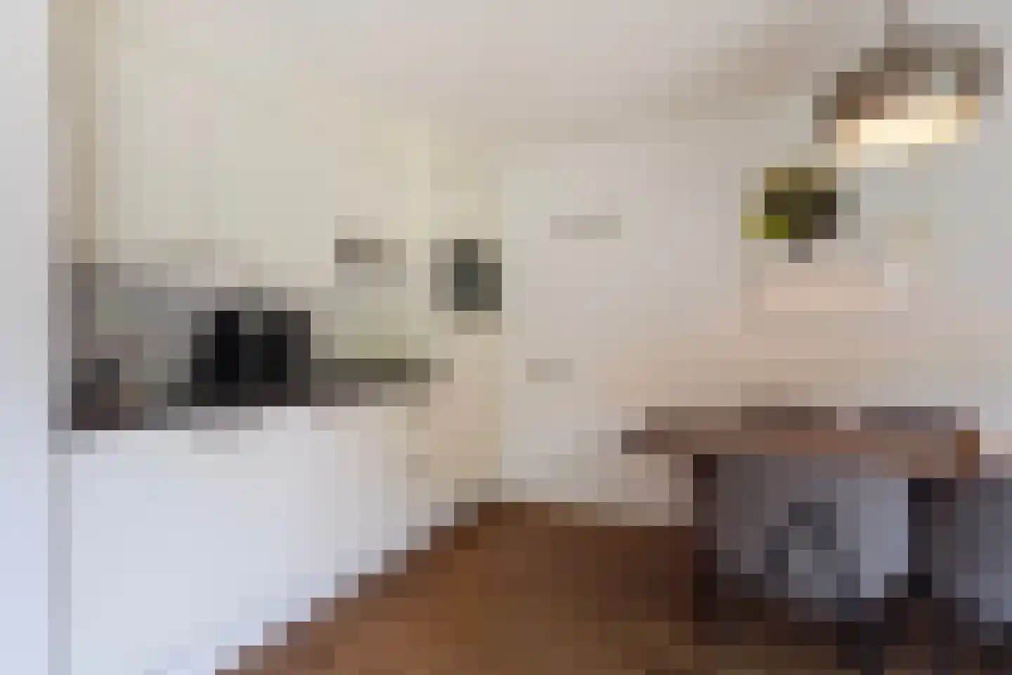 Machiel Vrijenhoeklaan 450 178 Den Haag thumbnail 11