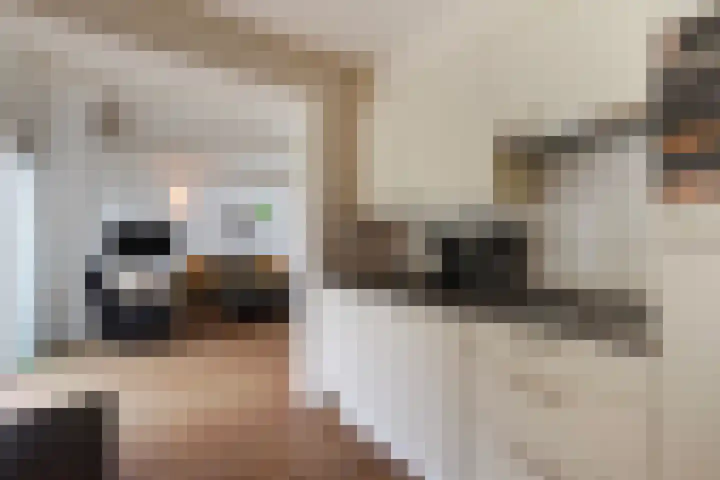 Machiel Vrijenhoeklaan 450 178 Den Haag thumbnail 14