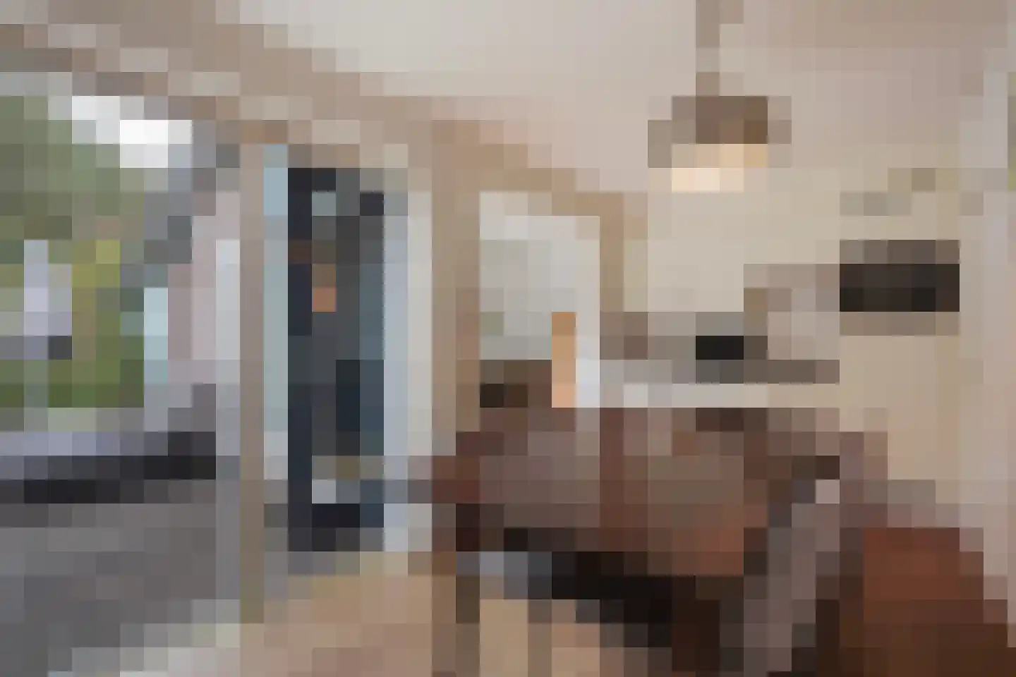 Machiel Vrijenhoeklaan 450 178 Den Haag thumbnail 15