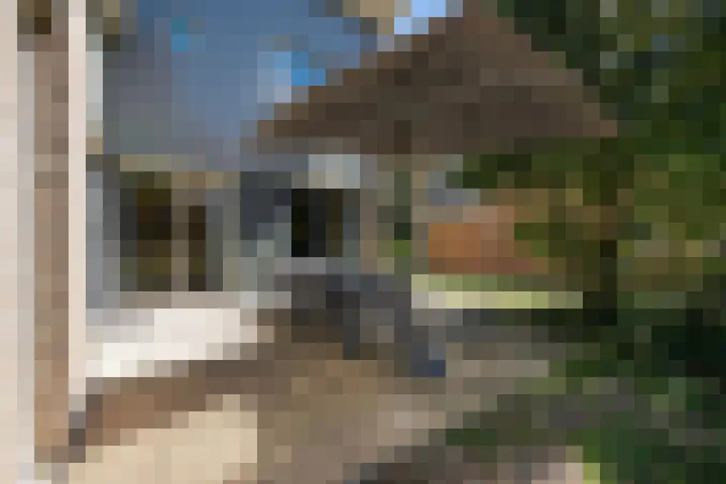 Machiel Vrijenhoeklaan 450 32 Den Haag thumbnail 19