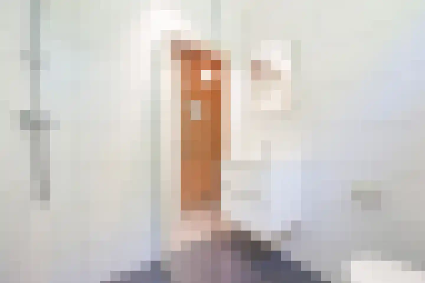Machiel Vrijenhoeklaan 450 32 Den Haag thumbnail 31