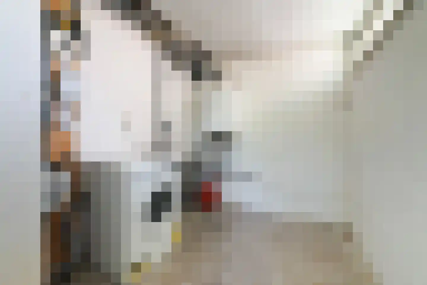 Machiel Vrijenhoeklaan 450 32 Den Haag thumbnail 37