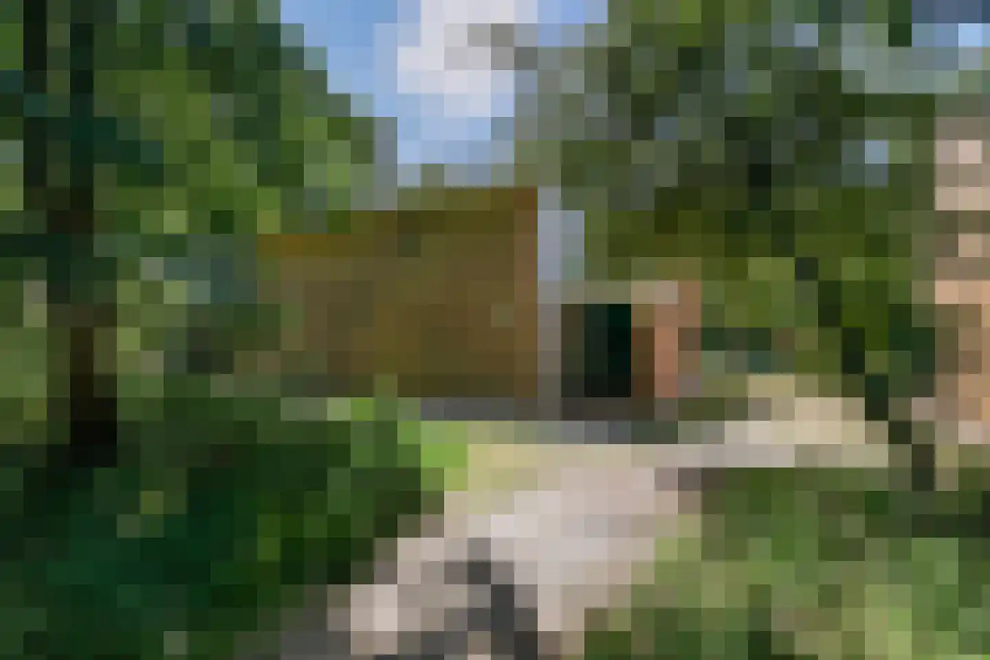 Machiel Vrijenhoeklaan 450 33 Den Haag thumbnail 33