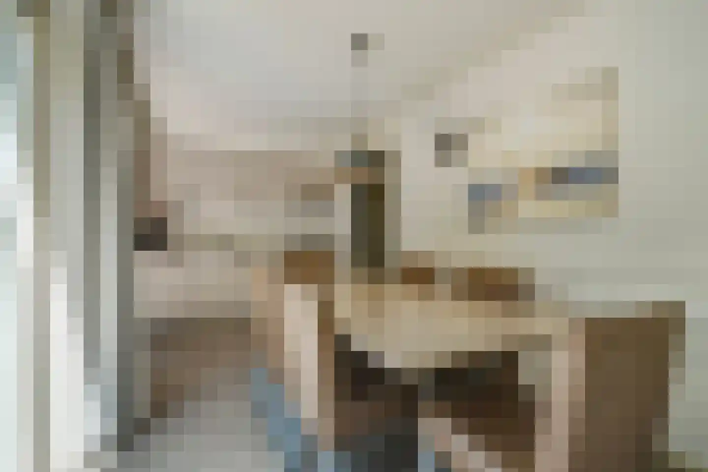 Machiel Vrijenhoeklaan 450 33 Den Haag thumbnail 8