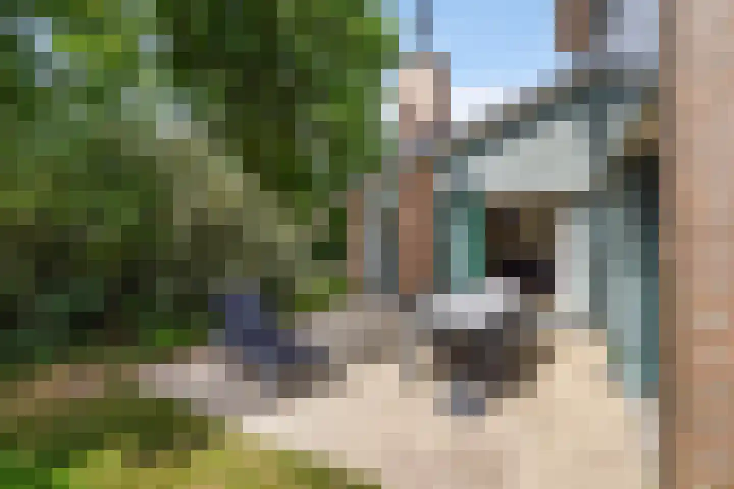 Machiel Vrijenhoeklaan 450 53 Den Haag thumbnail 12