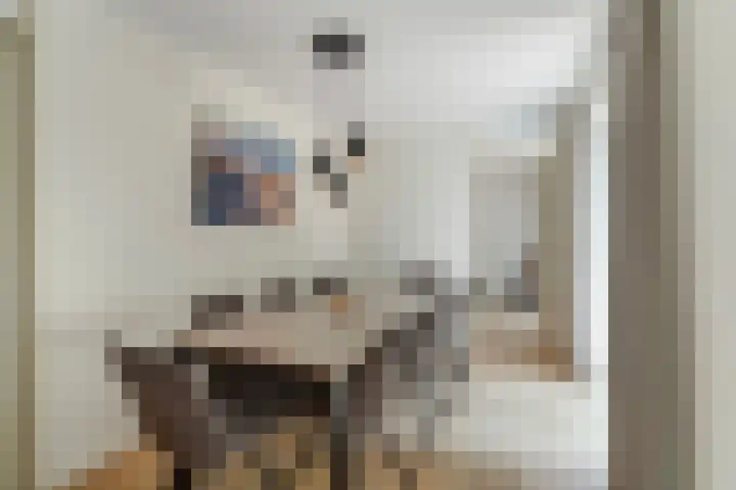 Machiel Vrijenhoeklaan 450 53 Den Haag thumbnail 16