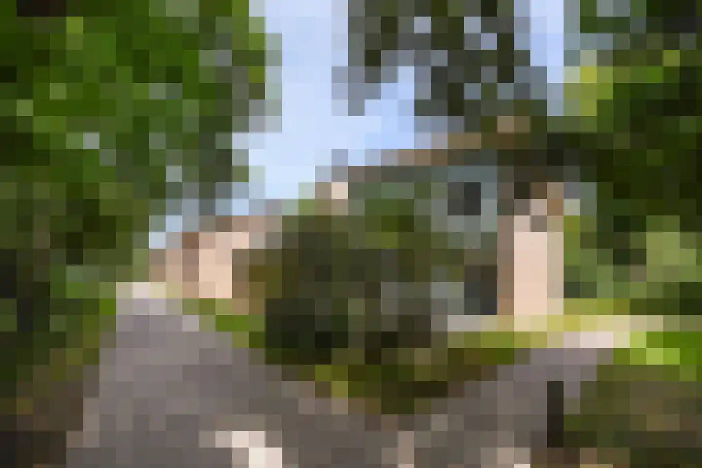 Machiel Vrijenhoeklaan 450 53 Den Haag thumbnail 45