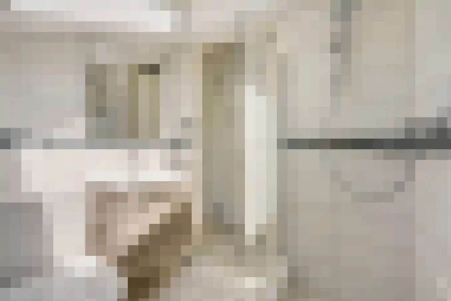 Machiel Vrijenhoeklaan 450 70 Den Haag thumbnail 39