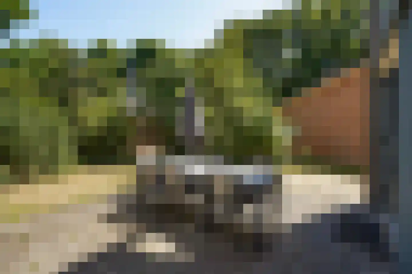 Machiel Vrijenhoeklaan 450 70 Den Haag thumbnail 8