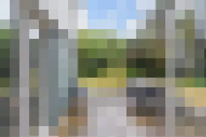 Machiel Vrijenhoeklaan 450 92 Den Haag thumbnail 26