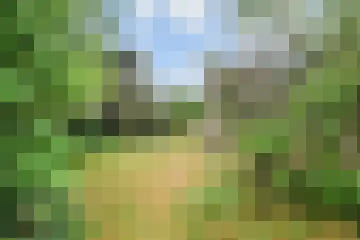 Machiel Vrijenhoeklaan 450 92 Den Haag thumbnail 28
