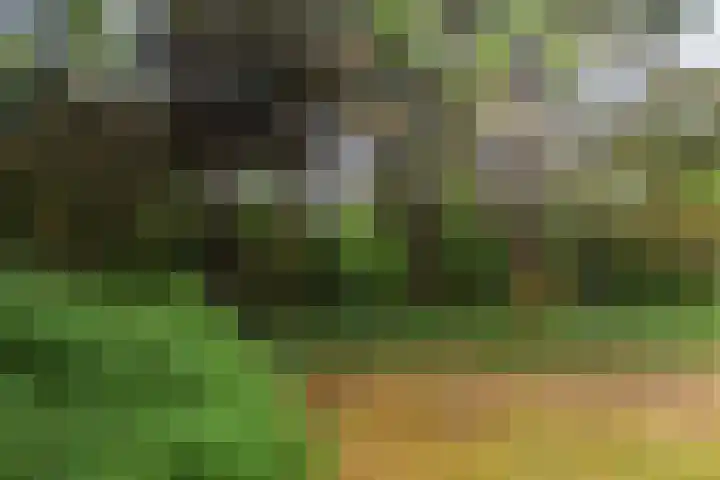 Machiel Vrijenhoeklaan 450 92 Den Haag thumbnail 29