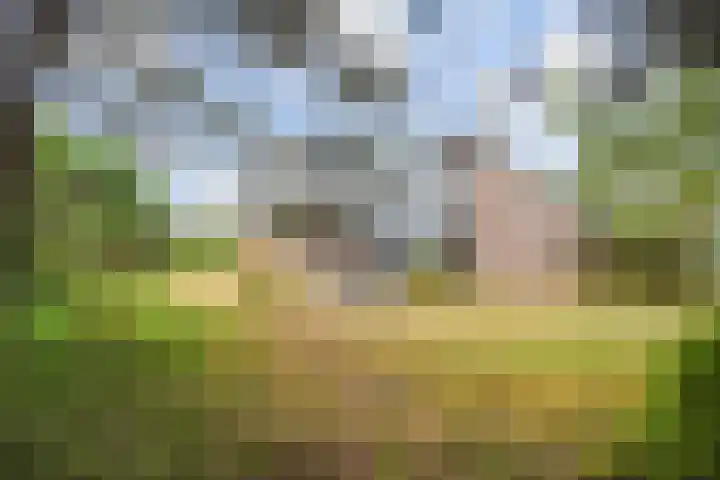 Machiel Vrijenhoeklaan 450 92 Den Haag thumbnail 31