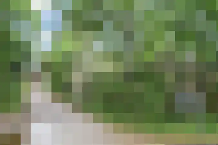 Machiel Vrijenhoeklaan 450 92 Den Haag thumbnail 32