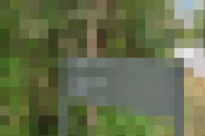 Machiel Vrijenhoeklaan 450 92 Den Haag thumbnail 33