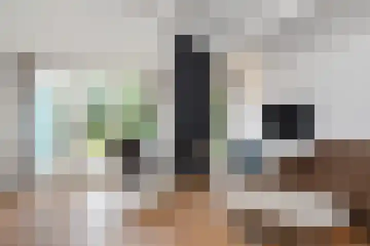 Machiel Vrijenhoeklaan 450 92 Den Haag thumbnail 4