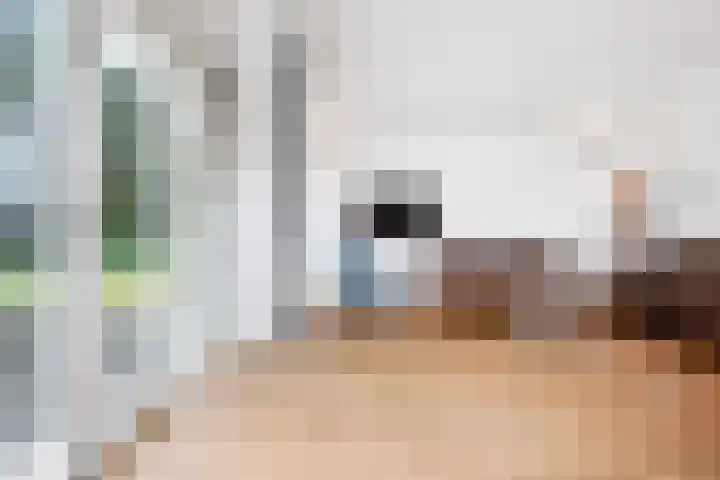 Machiel Vrijenhoeklaan 450 92 Den Haag thumbnail 7