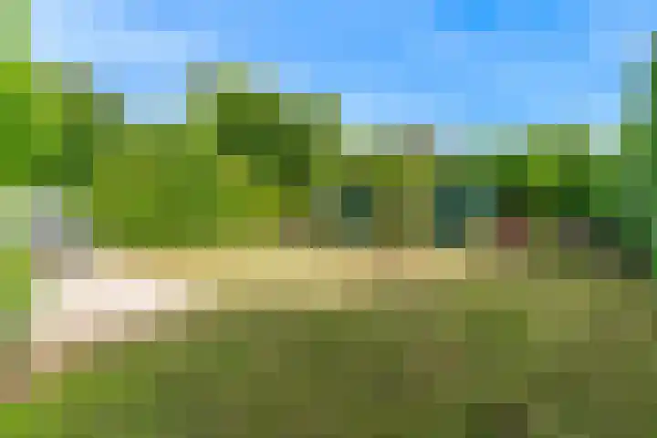 Machineweg 193 Aalsmeer thumbnail 29