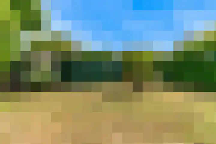 Machineweg 193 Aalsmeer thumbnail 30