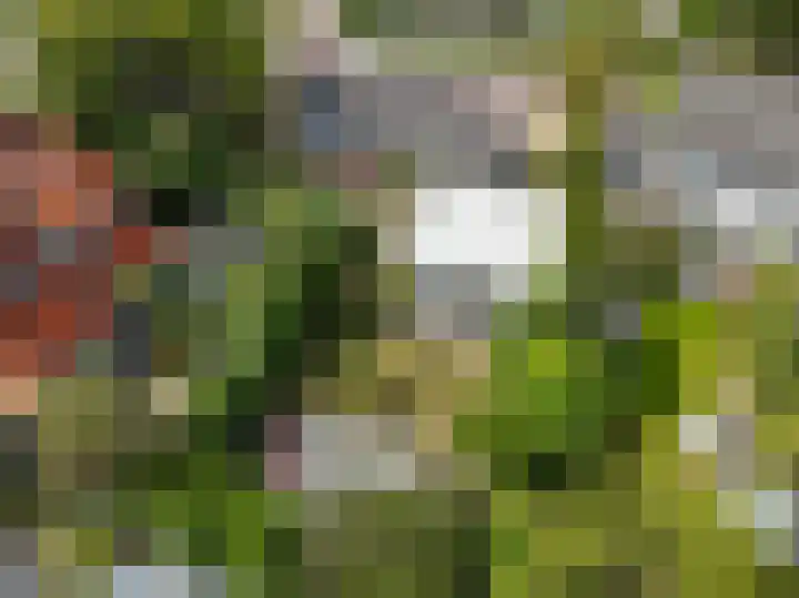 Machineweg 193 Aalsmeer thumbnail 37