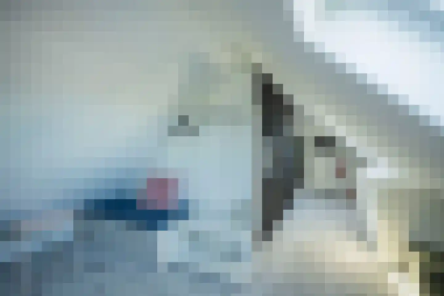 Machineweg 208 Aalsmeer thumbnail 47