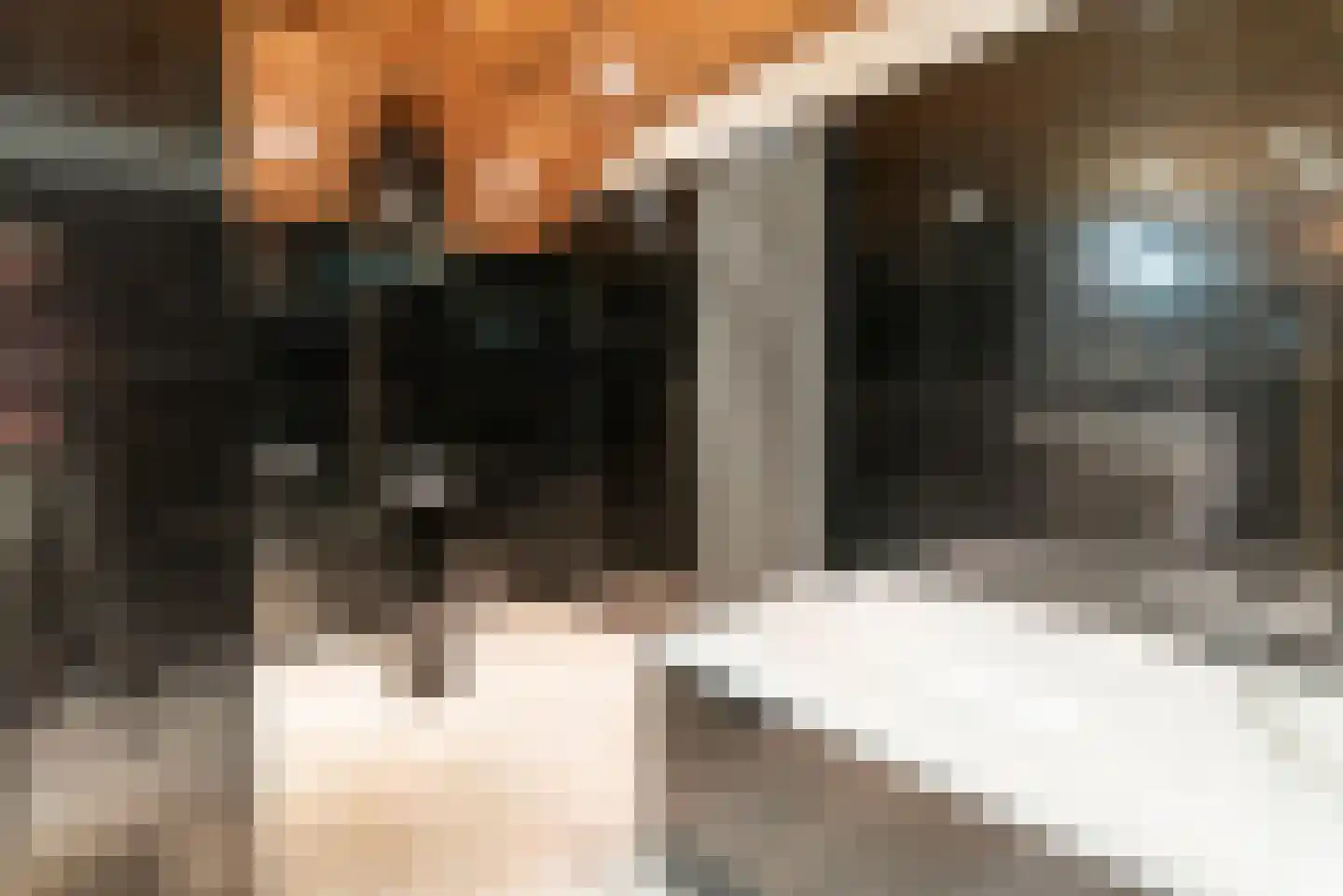 Machineweg 222 Aalsmeer thumbnail 22