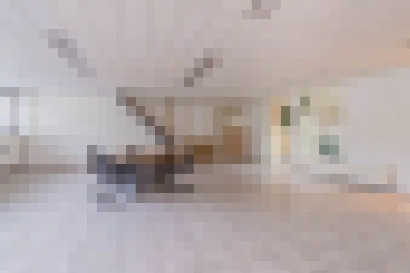 Machineweg 222 Aalsmeer thumbnail 25
