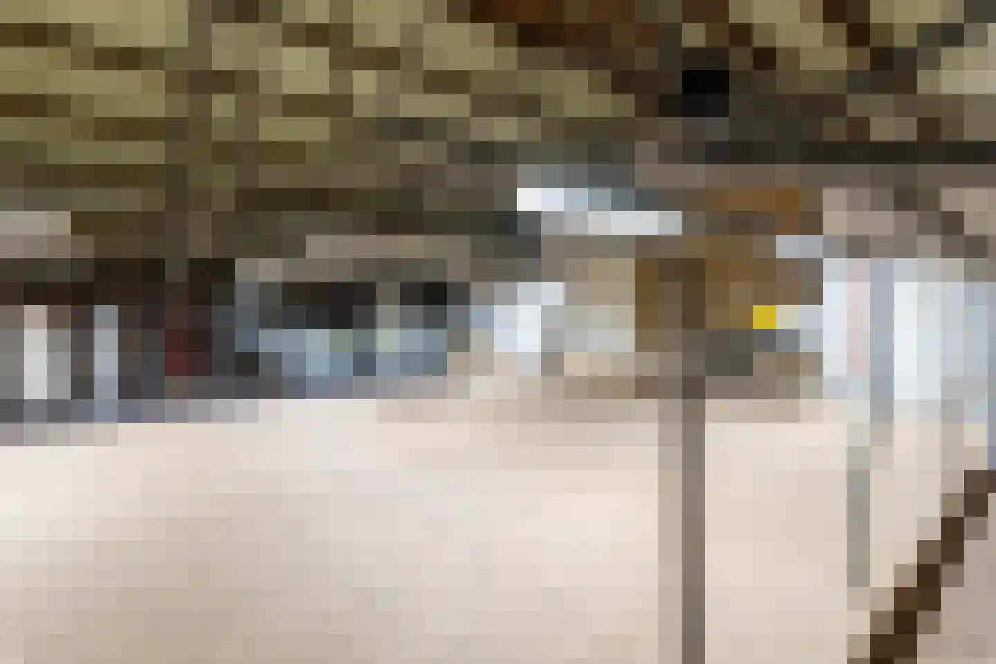 Machineweg 222 Aalsmeer thumbnail 33