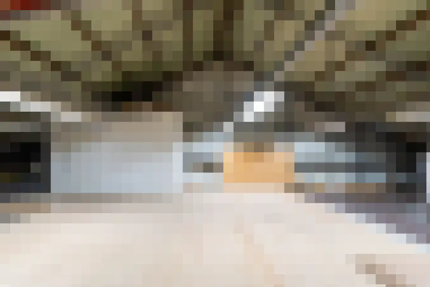 Machineweg 222 Aalsmeer thumbnail 34