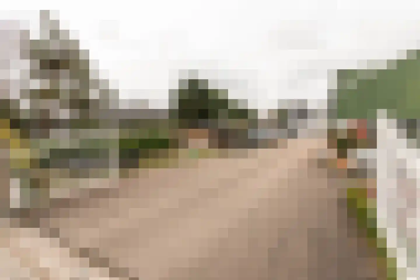 Machineweg 222 Aalsmeer thumbnail 4