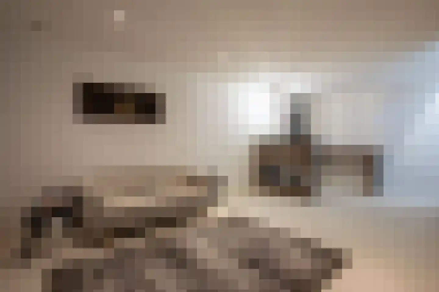 Machineweg 25 Aalsmeer thumbnail 37