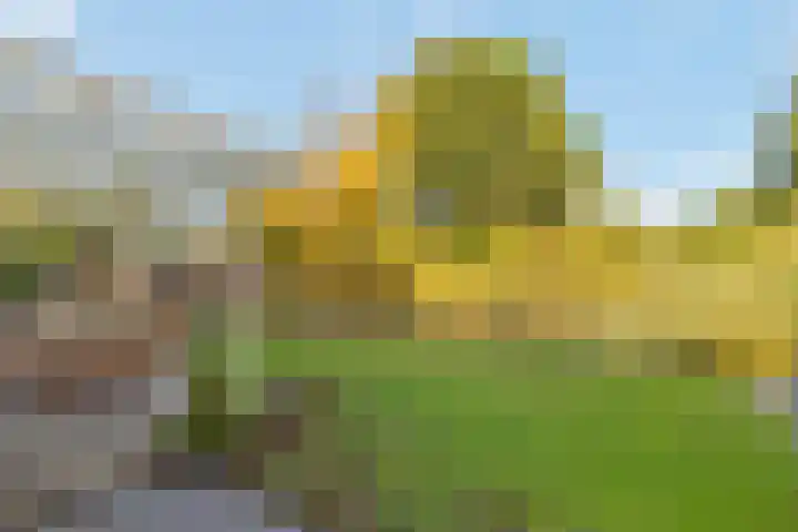Machineweg 27 Nederhorst den Berg thumbnail 33
