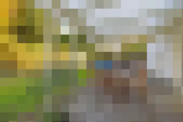 Machineweg 27 Nederhorst den Berg thumbnail 34
