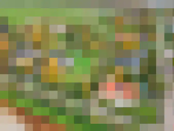 Machineweg 27 Nederhorst den Berg thumbnail 5