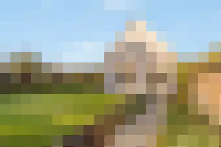 Machineweg 27 Nederhorst den Berg thumbnail 6