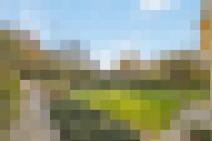 Machineweg 27 Nederhorst den Berg thumbnail 7