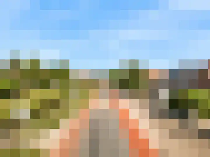 Machineweg 29 Aalsmeer thumbnail 21