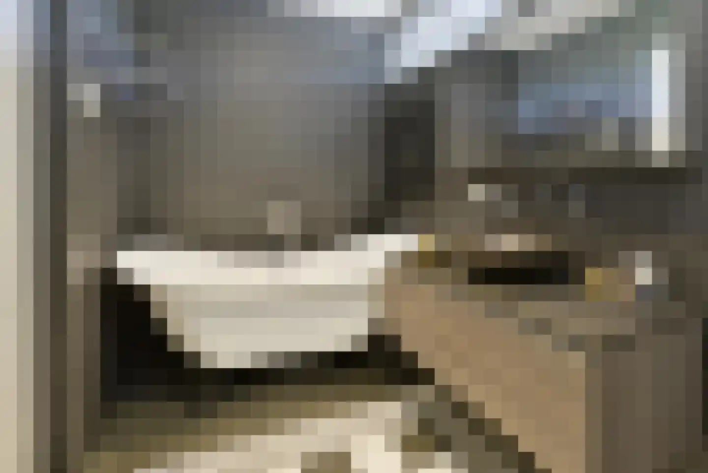 Machineweg 290 Aalsmeer thumbnail 24