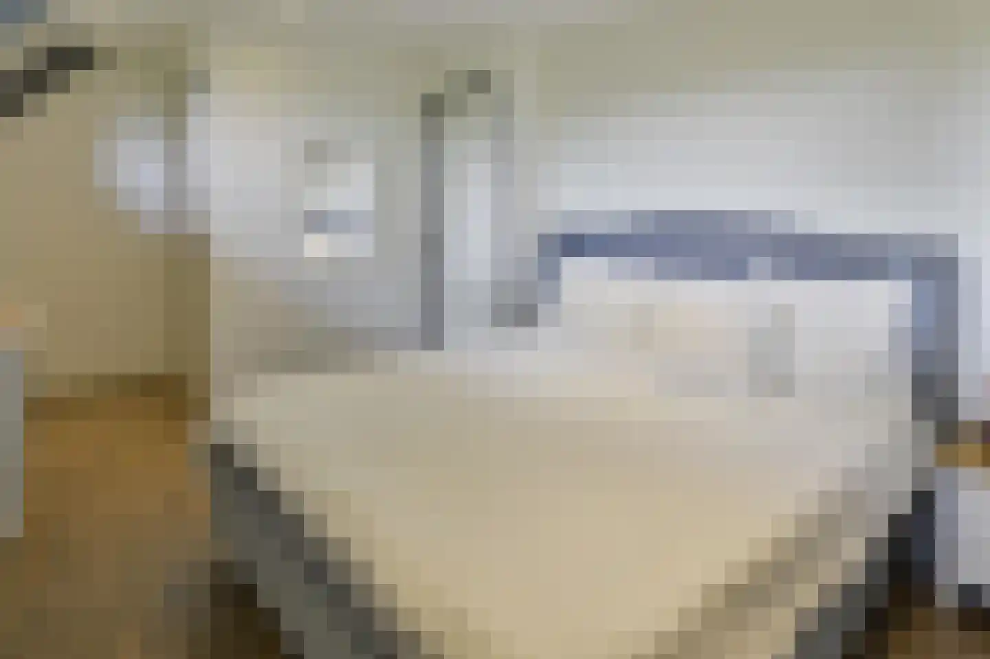 Machineweg 290 Aalsmeer thumbnail 30