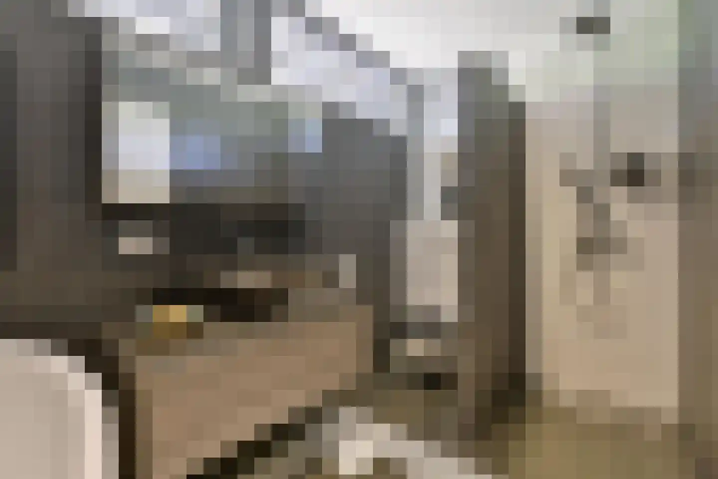 Machineweg 290 Aalsmeer thumbnail 32