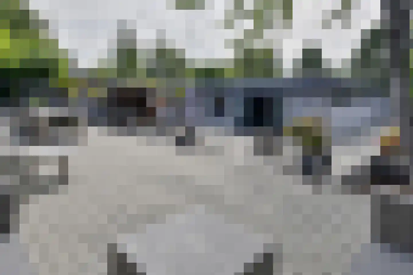 Machineweg 290 Aalsmeer thumbnail 62
